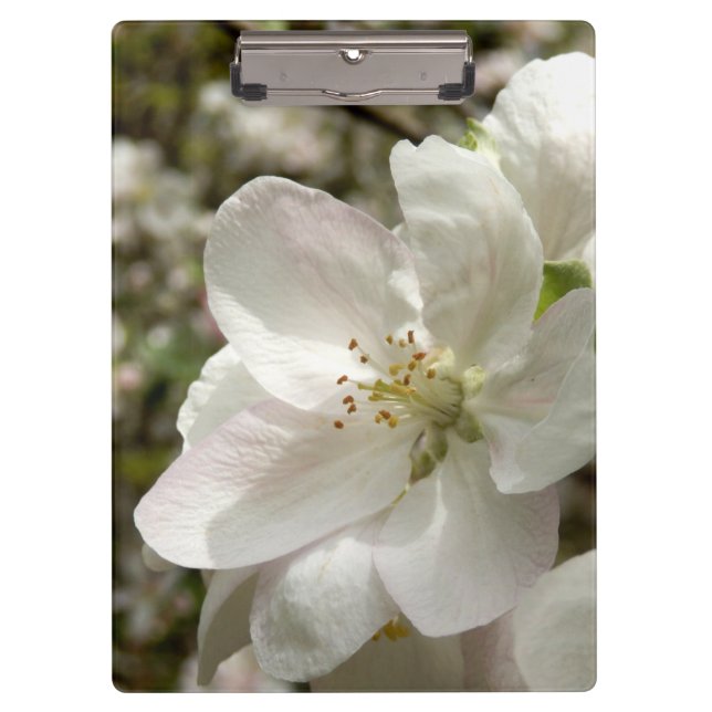 Apple floresce prancheta (Frente)