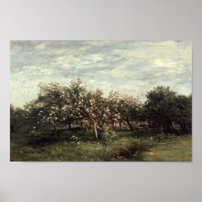 Apple Orchard Landscape Art Impressão Vintage Coun (Frente)