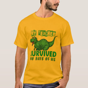 Apreciação do Professor 100 Dias De Camisa Escol