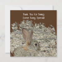 Apreciação Funny Tan Bunny Pun