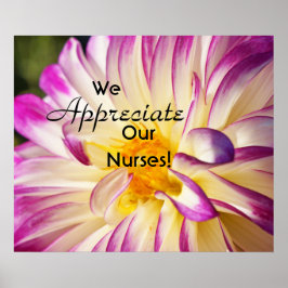 Apreciamos Nossas Enfermeiras posters Enfermeiras