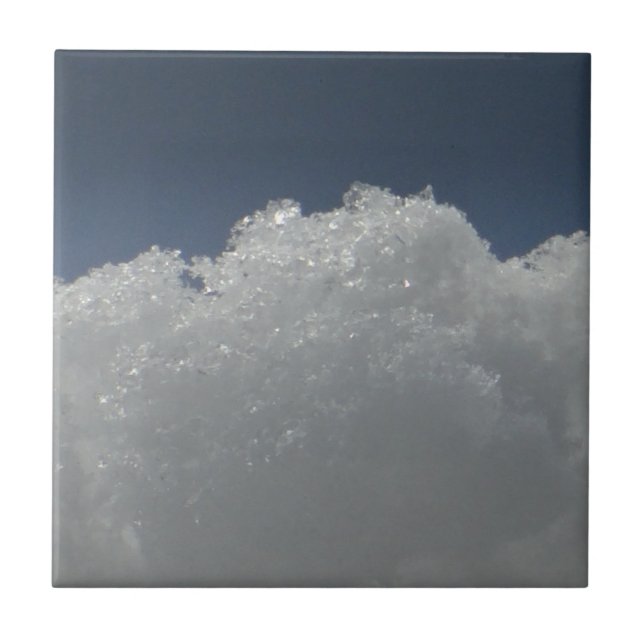 Apresentação (Frente)