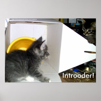 Apresentador! Kitten poster