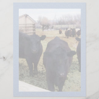 April Cattle