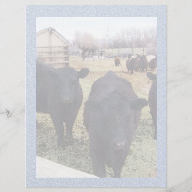 April Cattle (Frente)
