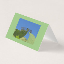 Aproximação de uma libélula contra um céu azul bri