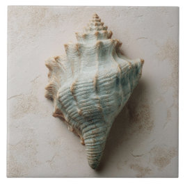 Aqua and Sand Coastal Conch Shell