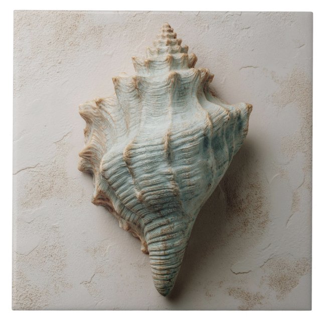 Aqua and Sand Coastal Conch Shell (Frente)