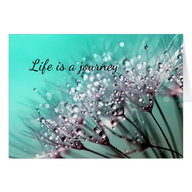 Aqua Cactus Bonsai Bloom Qualquer Cartão De Ocasiã (Frente Horizontal)