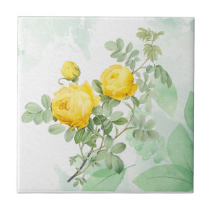 Aquarela Amarelo Rosa Rosa Jardim Flor Arte Natura