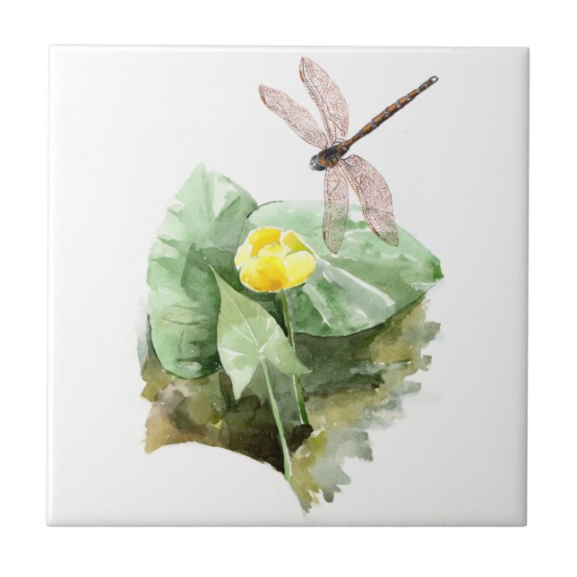 aquarela aquosa (Frente)