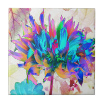 Aquarela Atormentada Rainbow Cactus Dahlia