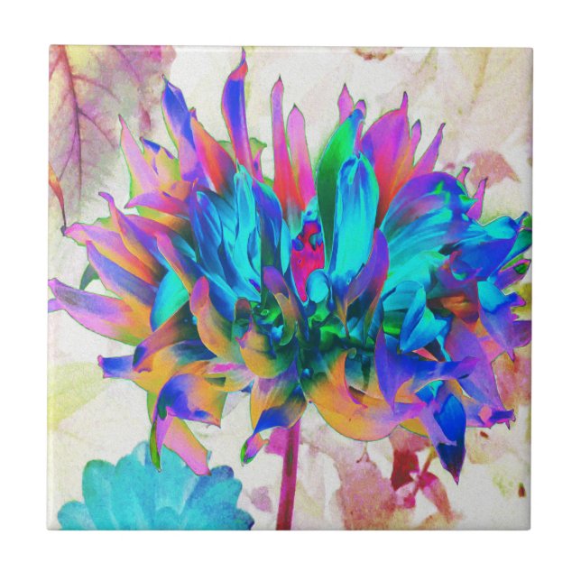 Aquarela Atormentada Rainbow Cactus Dahlia (Frente)