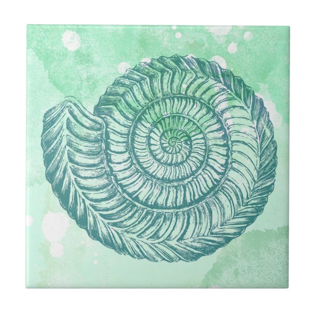 Aquarela Azul de Concha Espiral Praia (Frente)