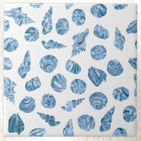 Aquarela de Conchas Marinhas Náuticas Costa Azul