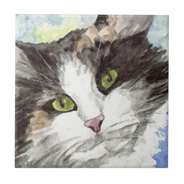 Aquarela de Gato (Frente)