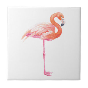 Aquarela Flamingo