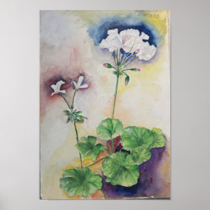 Aquarela Flor Branca – Impressão de Arte Botânica