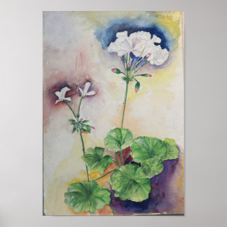 Aquarela Flor Branca – Impressão de Arte Botânica