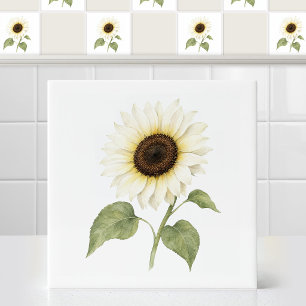 Aquarela Girassol Branco Italiano Floral Creme
