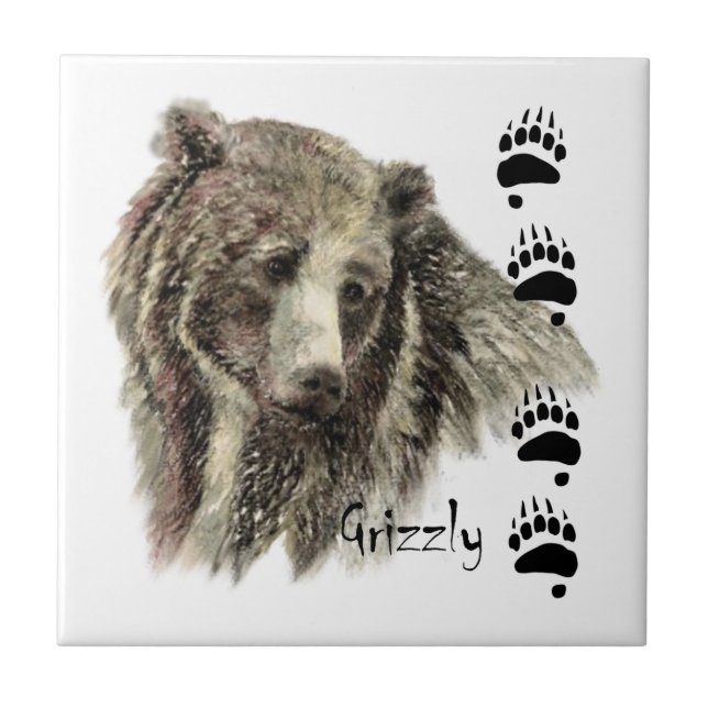 Aquarela Grizzly Bear Natureza (Frente)