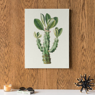 Aquarela Impressão de Cacto Botânico Antiquado Pos