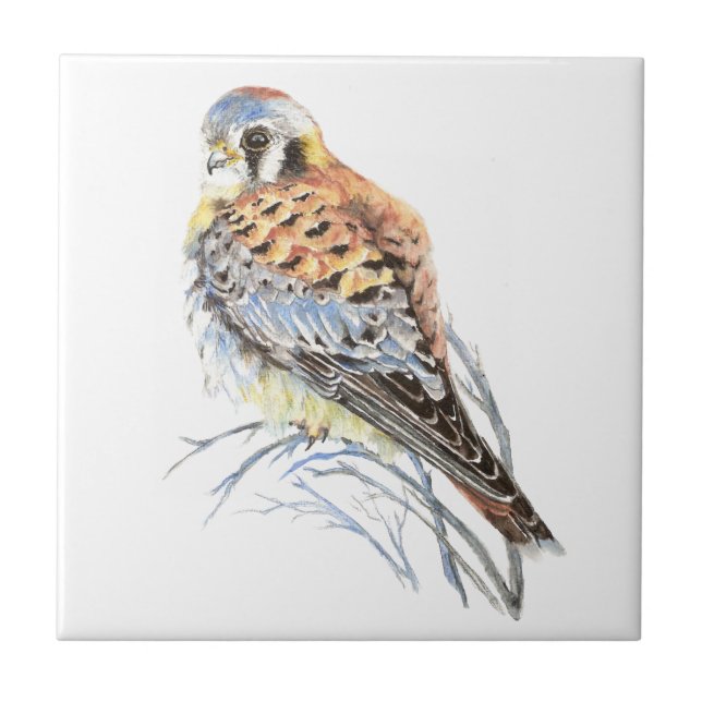 Aquarela Kestrel Sparrow Hawk Bird Willife Art (Frente)