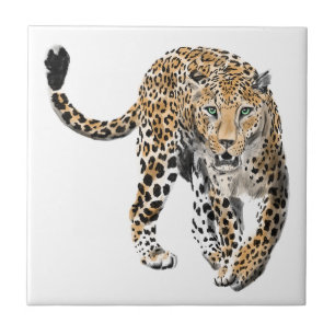 aquarela leopardo gato da selva animal pintado ver