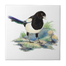 Aquarela Magpie Bird Willife Art