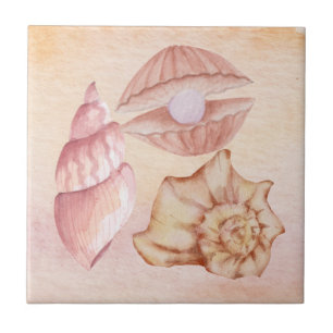 Aquarela náutica Conchas pinturas cor-de-rosa arte