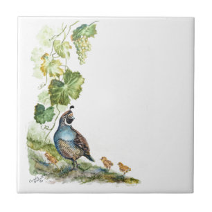 Aquarela Personalizada Família de Codorniz da Cali