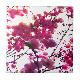 Aquarela rosa floral primavera   Árvore em flor   