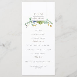 Aquarela Suculente | Inicial | Programa