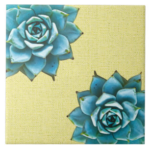 Aquarela Suculta em Amarelo