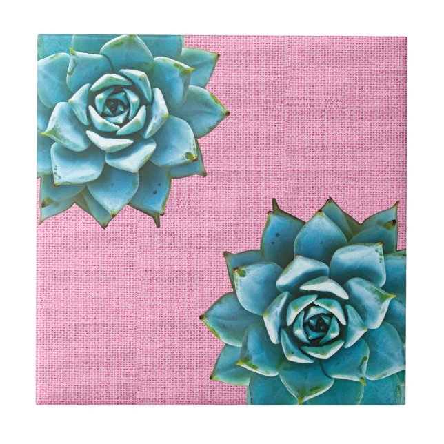 Aquarela Suculta em Rosa Pálido (Frente)
