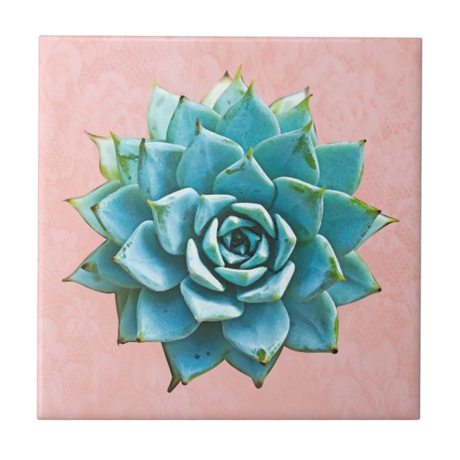 Aquarela Suculta no Lace Rosa Esbranquiçado (Frente)