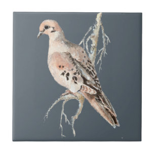 Aquarela Tripulante Dove Bird Willife Nature art