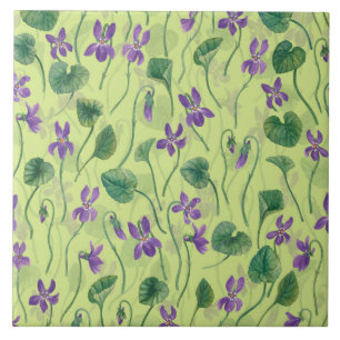 Aquarela violetas sobre melão