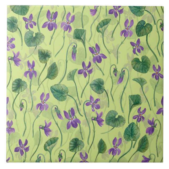 Aquarela violetas sobre melão (Frente)