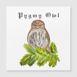 Aquarela Viram Pequenas Corujas Brancas