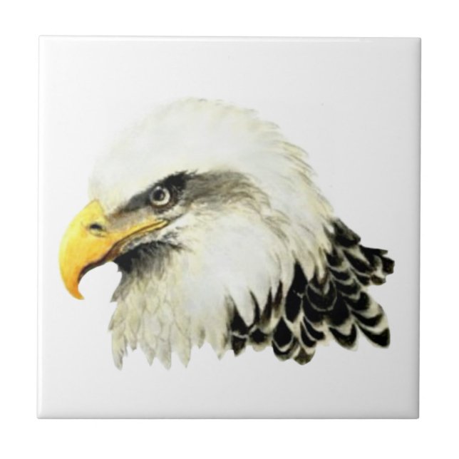 Aquarelas Bald Bird Willife Art (Frente)