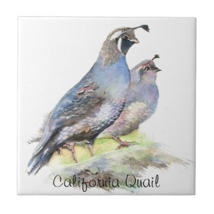 Aquarelas Personalizadas da Califórnia
