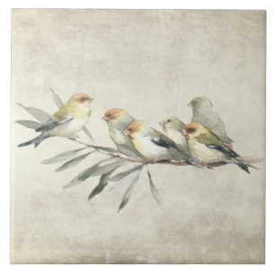 Aquarelas Rústicas de Pássaros no Galho 