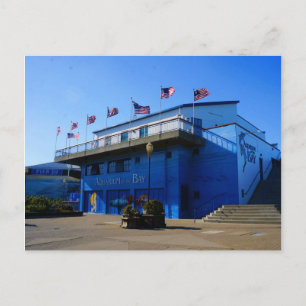 Aquário SF da Baía nº 4-2 Cartão postal