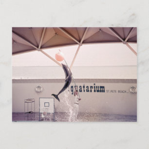 Aquário St. Pete Beach Flórida Cartão Postal