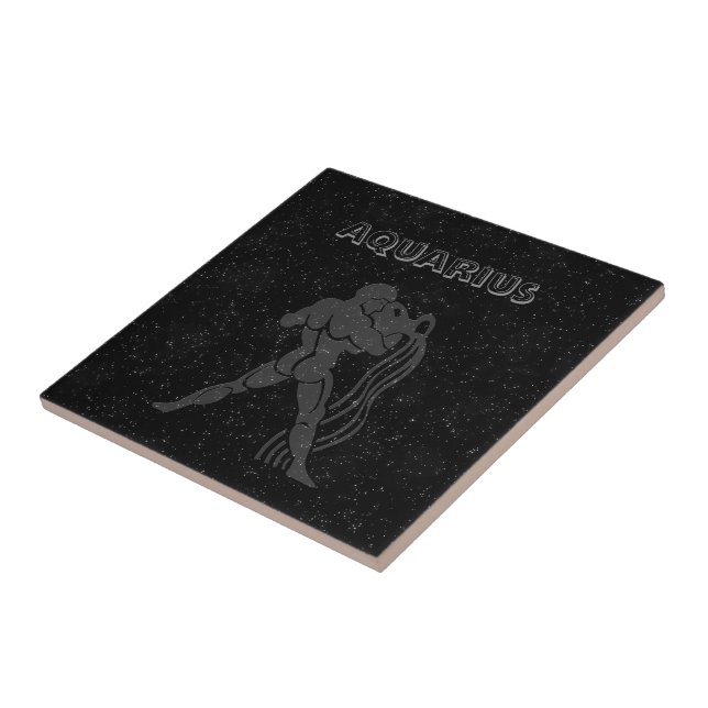 Aquário translúcido (Lateral)