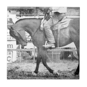 Aquecimento do cavalo do rodeio preto e branco