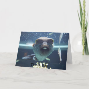 Aquele Cartão De Peixe