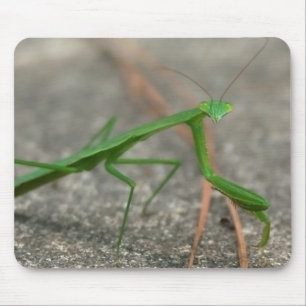 Aqui está olhando-o Mousepad (lateral)