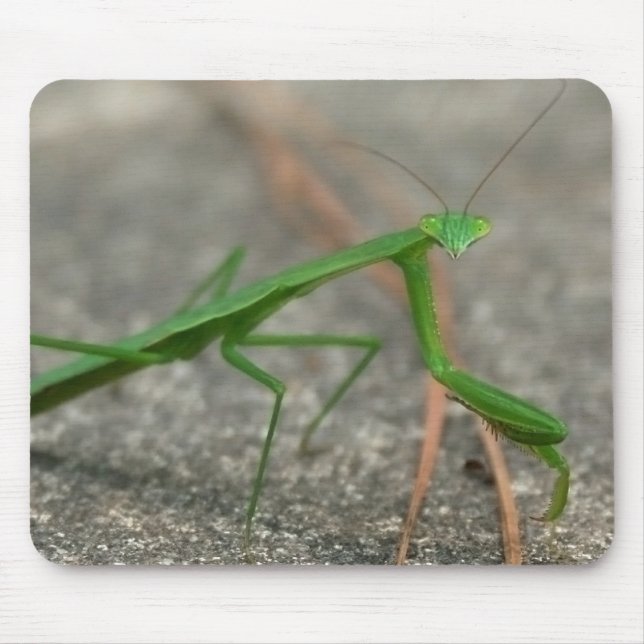 Aqui está olhando-o Mousepad (lateral) (Frente)